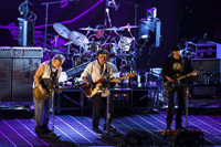 Neil Young & Crazy Horse
