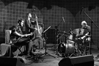 Ari Hoenig Trio