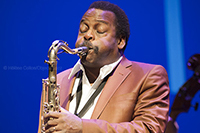 David Murray Infinity 4tet