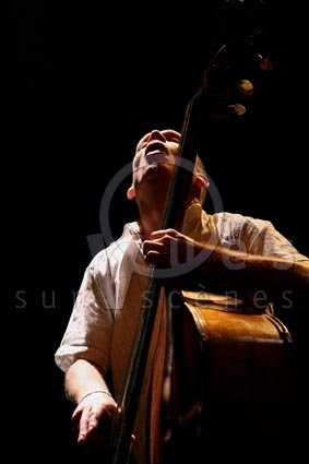 Avishaï Cohen