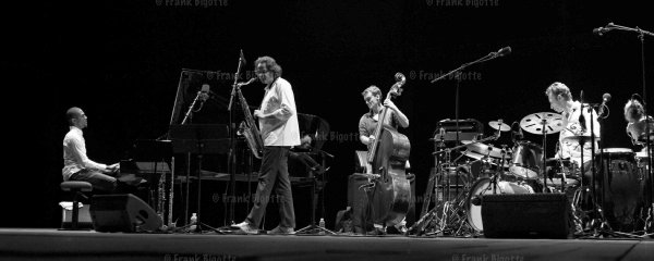 In-Pulse quartet