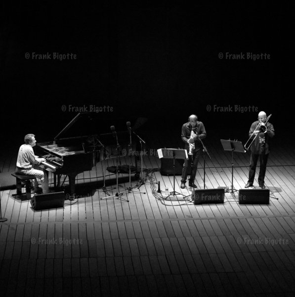 Zool Fleischer Trio