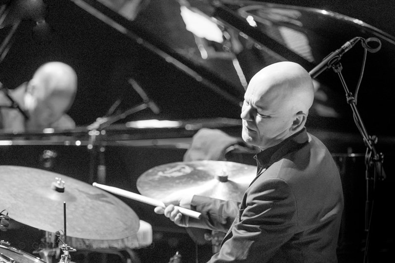 Jarle Vespestad