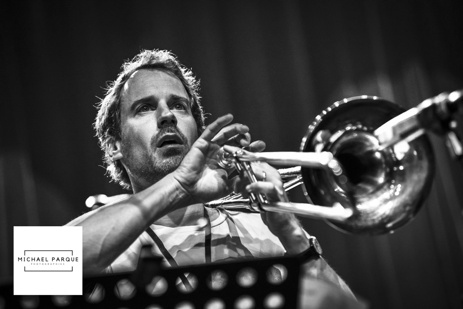 Michel Portal quintet