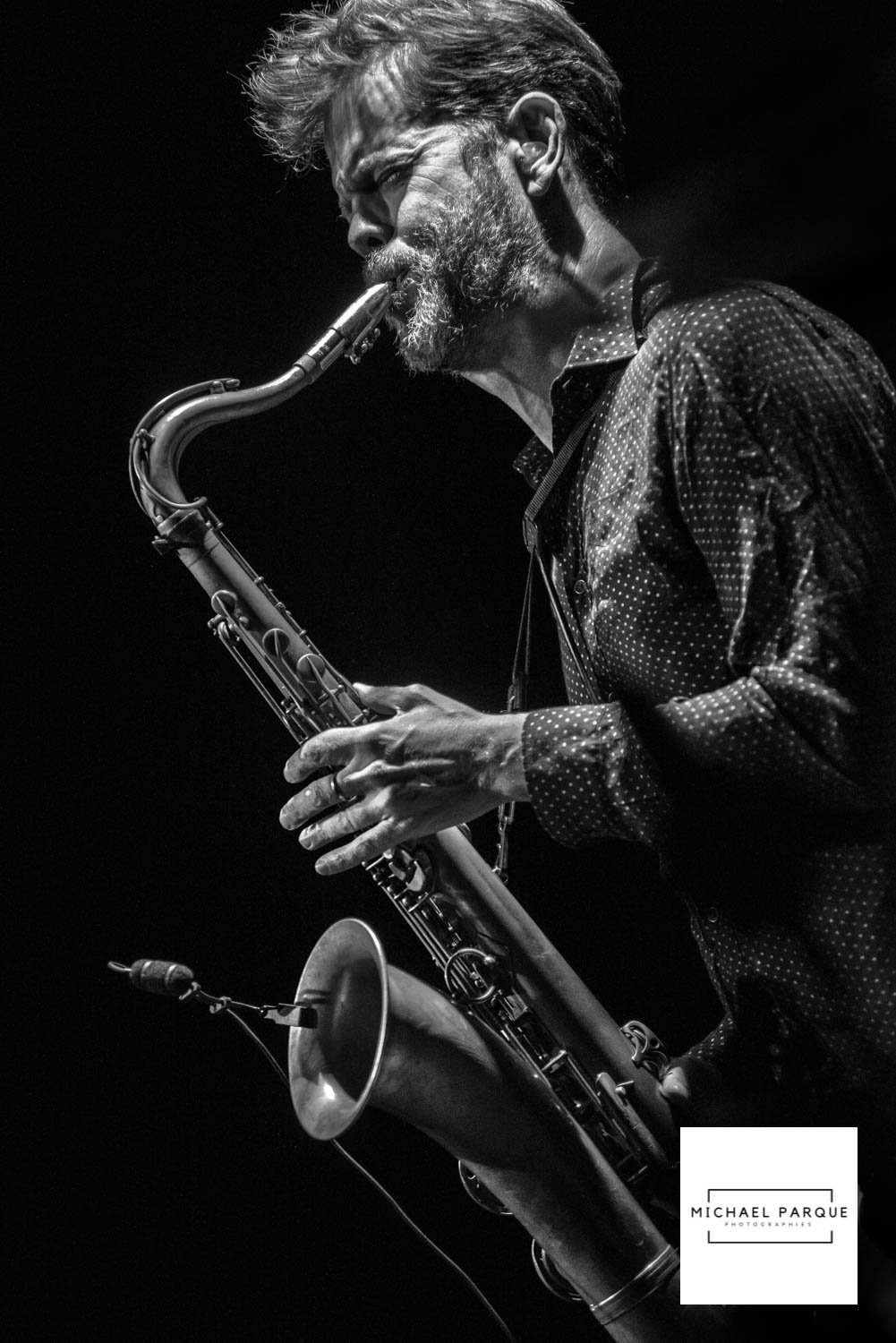 Donny McCaslin