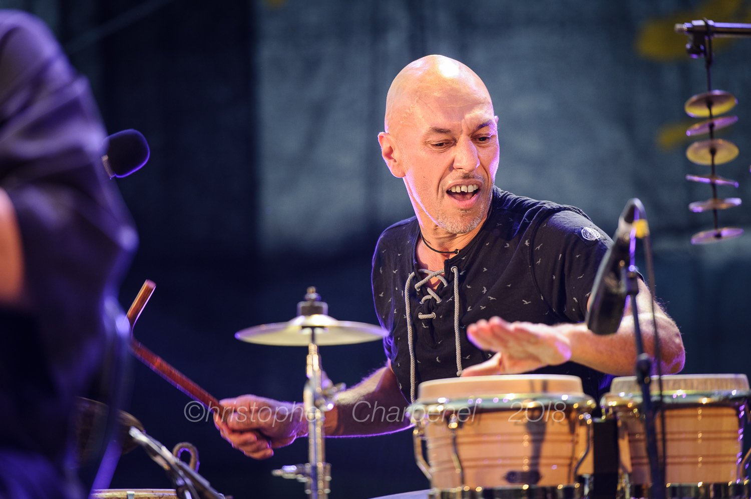 Anthony Gatta