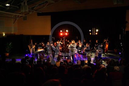 Pierre de Bethmann / Stéphane Guillaume / Vincent Artaud / Franck Agulhon / (…)