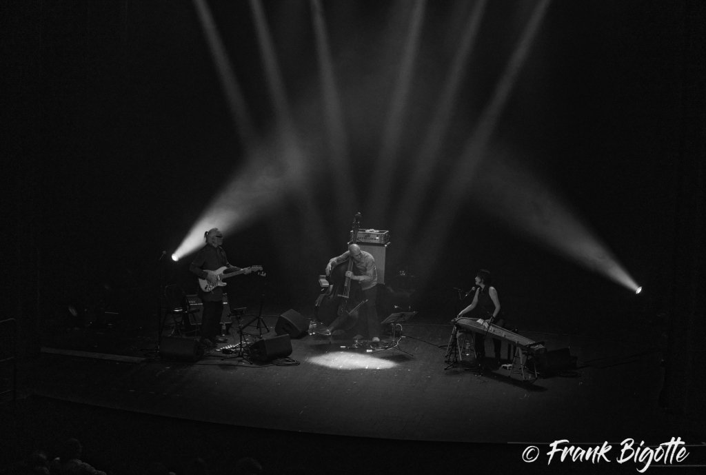 Nguyên Lê Trio