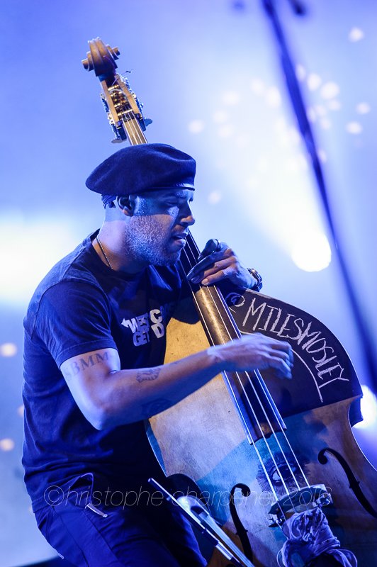 Miles Mosley