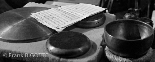 Percussions Profiles