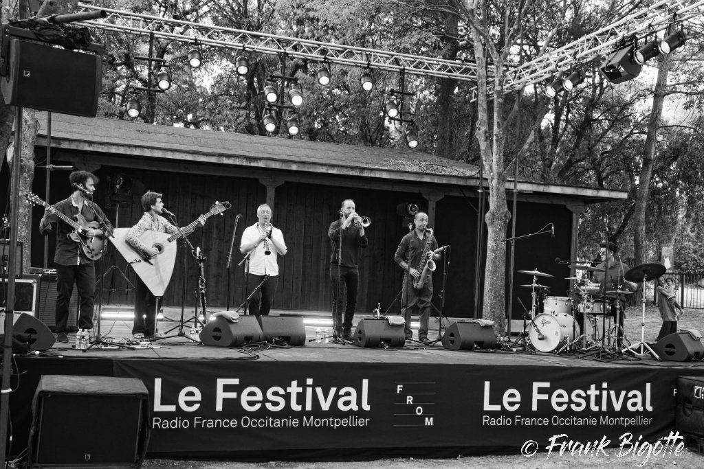 Les Ânes de Palinkov