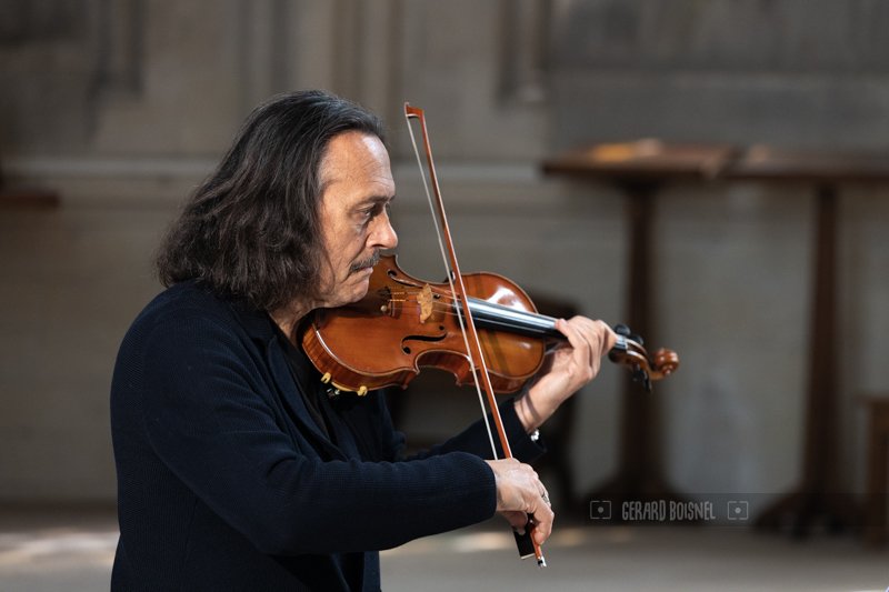 Dominique Pifarély