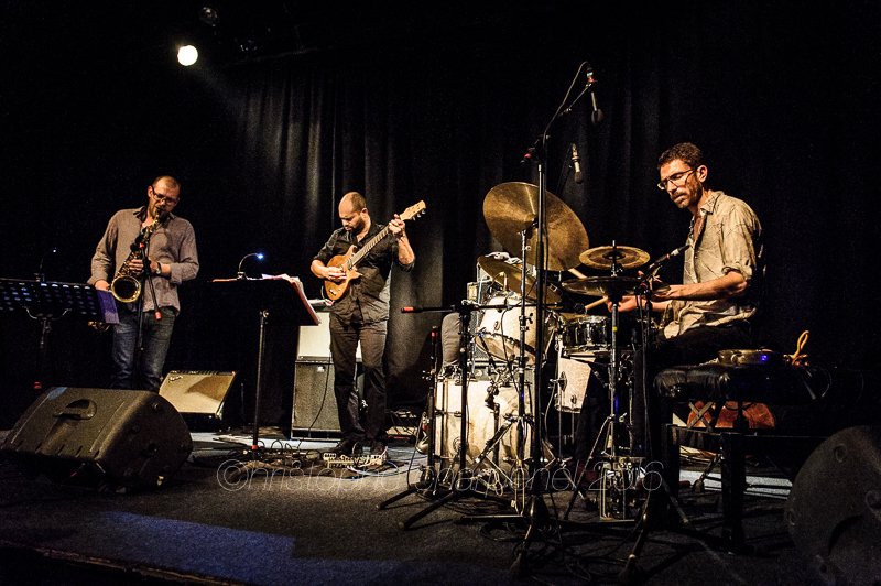 Matthieu Donarier trio