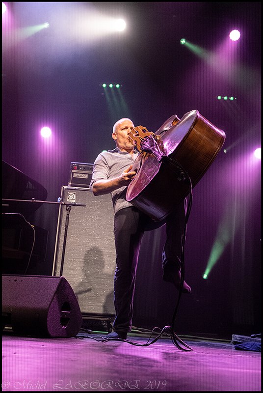 Avishai Cohen, le 07/08/2019.