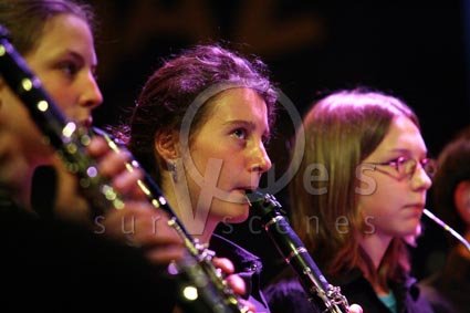 Regard sur l'orchestre