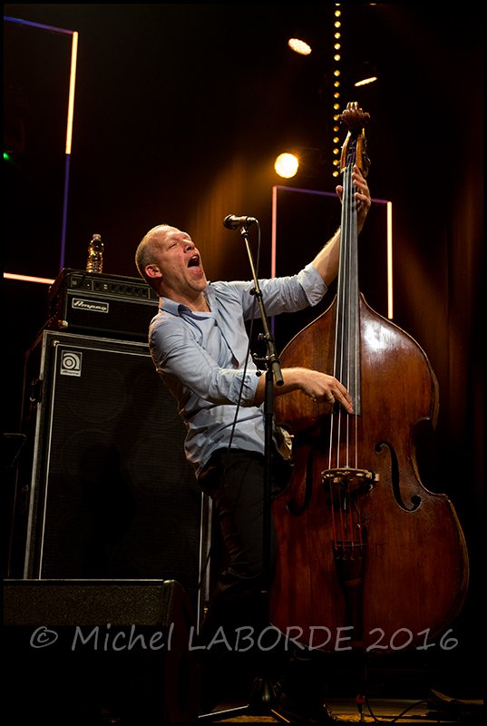 Avishai Cohen
