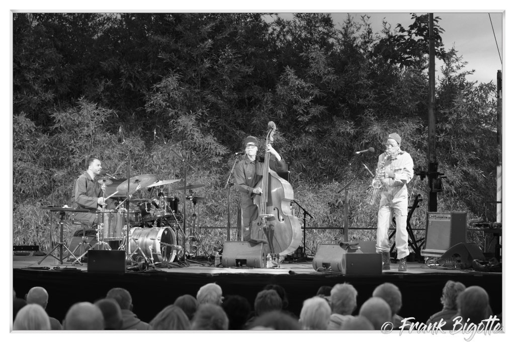 Arnaud Dolmen trio