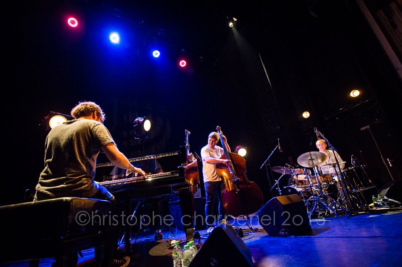 GoGo Penguin