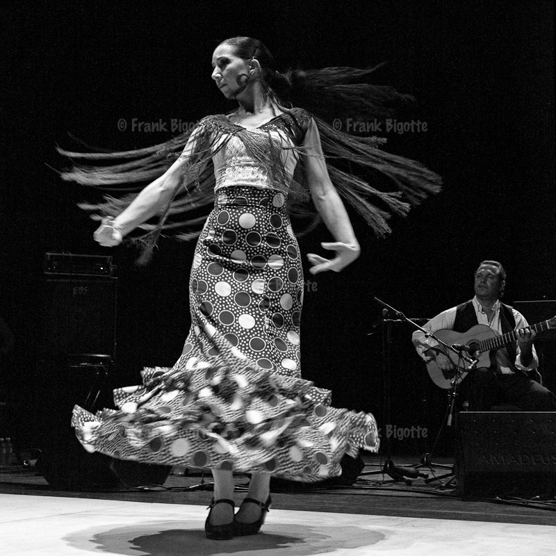 Diana Regano