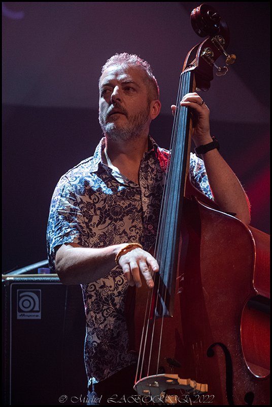 Dave Kane