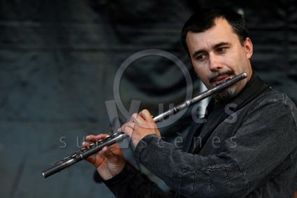 David Sauzay
