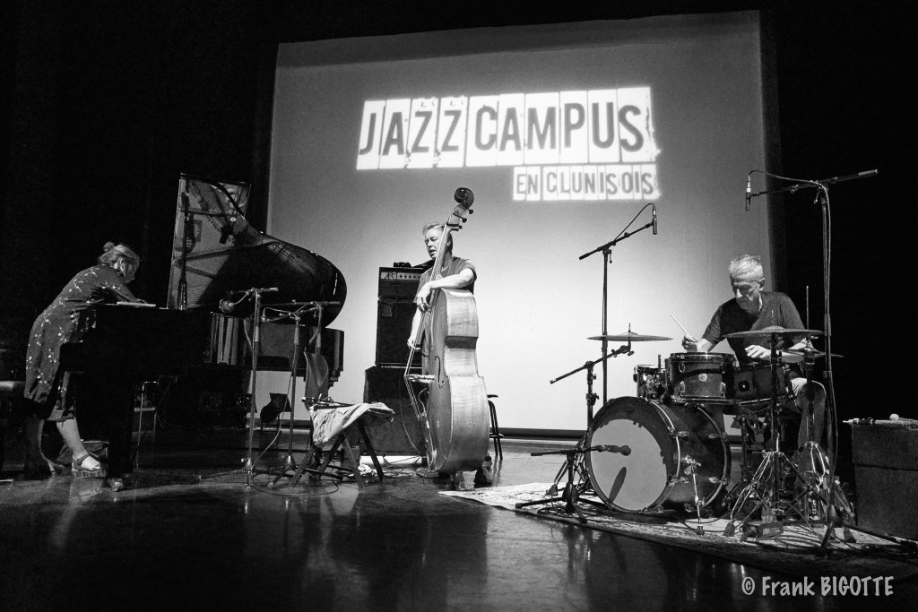 Sophie Agnel trio