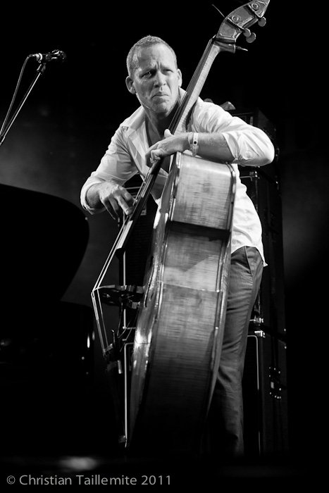 Avishai Cohen