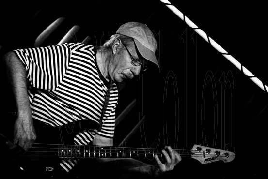 Hugh Hopper © H. Collon
