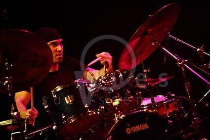 Steve Hass
