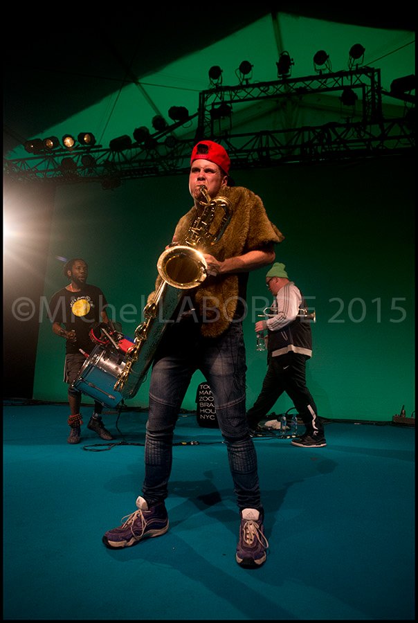 Too Many Zooz
