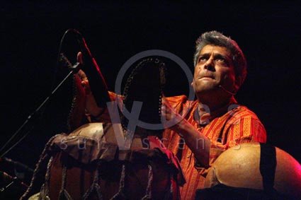 Trilok Gurtu