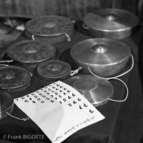 Percussions Profiles