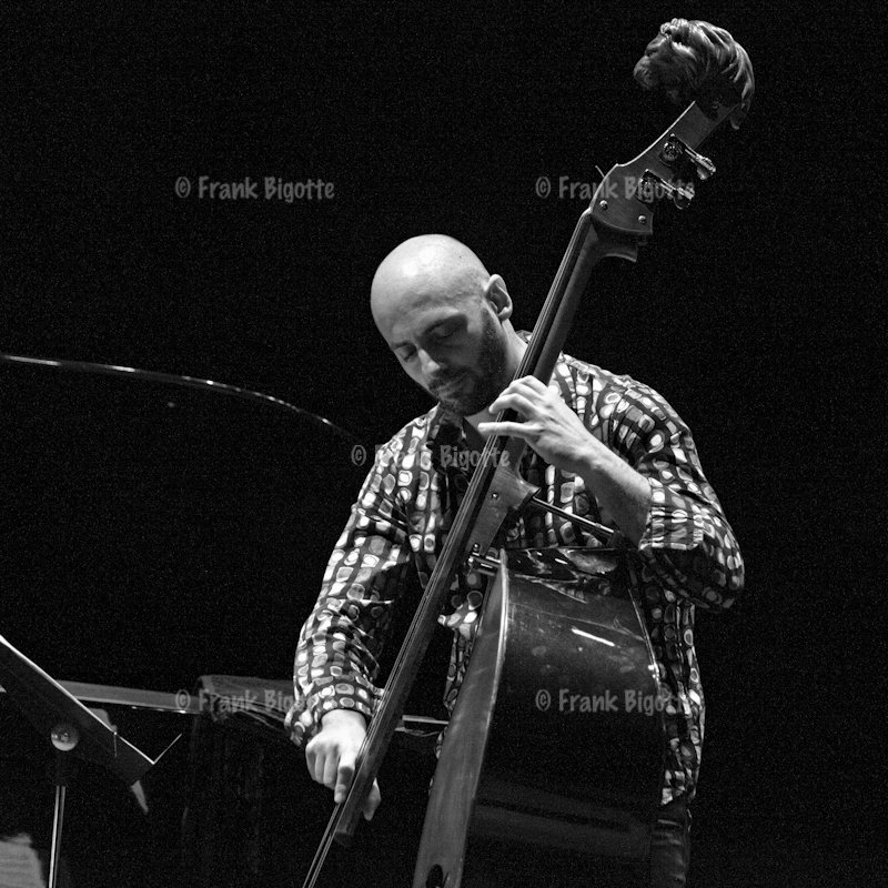 Mauro Gargano