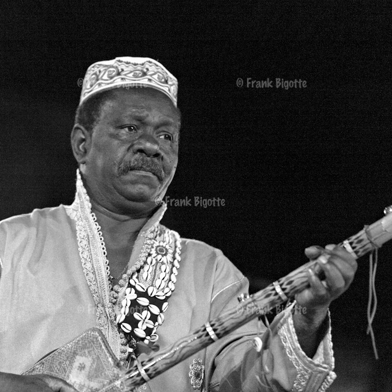 Mahmoud Guinia
