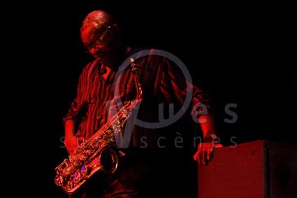 Steve Potts