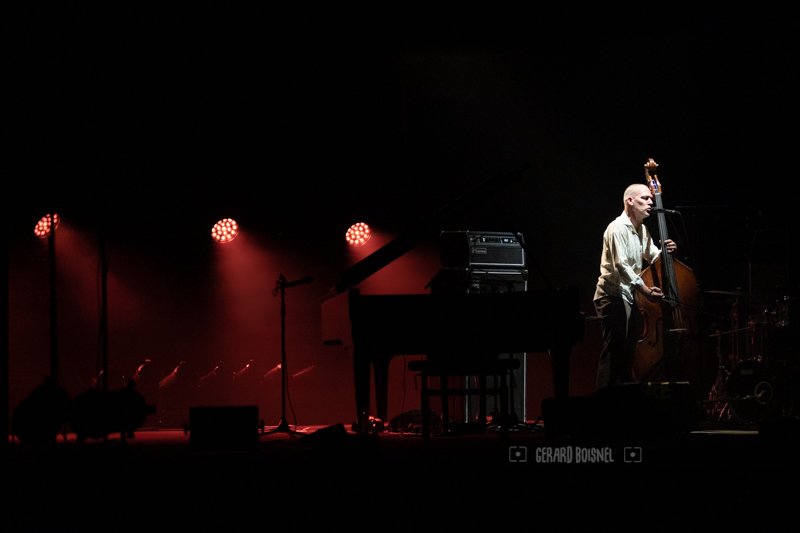 Avishai Cohen