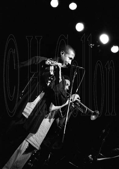 Magic Malik © H. Collon