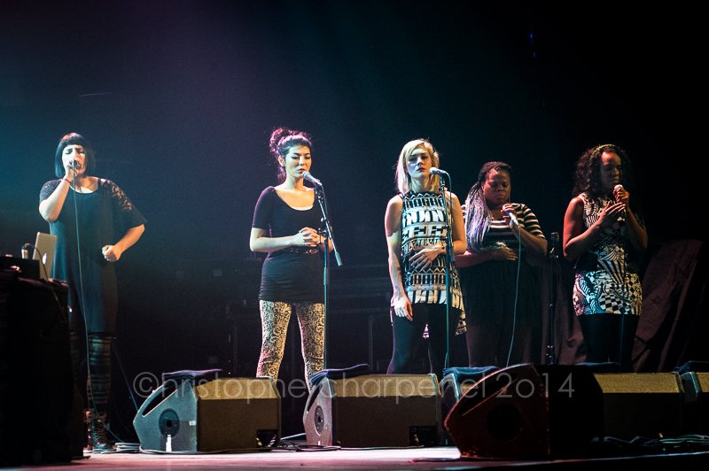 The Boxettes