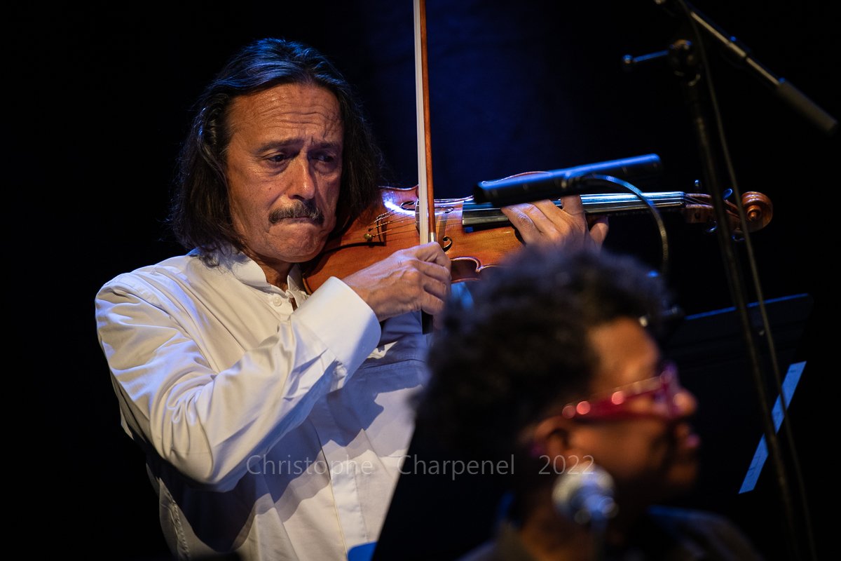 Dominique Pifarély