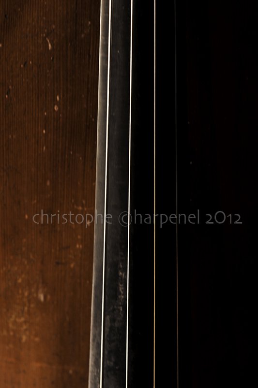 contrebasse F Moutin