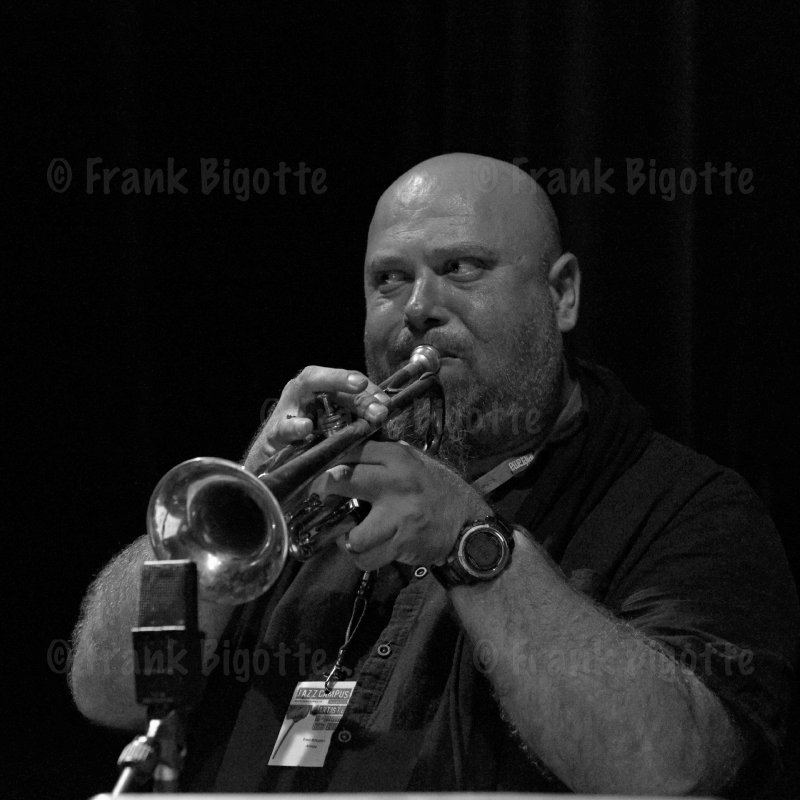 Fred Roudet (trompette, bugle, trombone) - Over The Hills