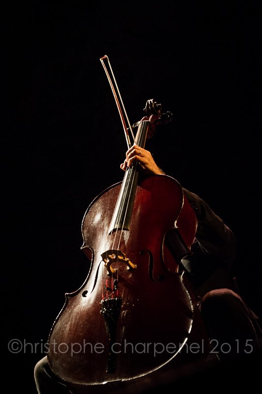 Vincent Segal