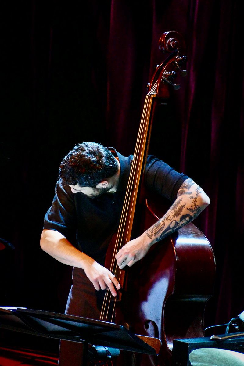 Alessandro Fongaro