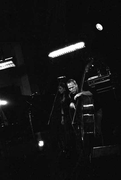Avishai Cohen