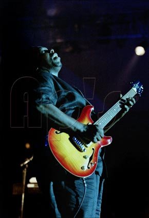 Lucky Peterson