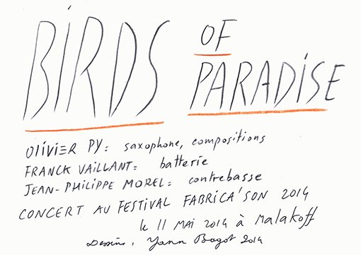 birdsofparadise_yannbagot-1-2.jpg