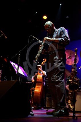 Steve Potts / Bruno Rousselet