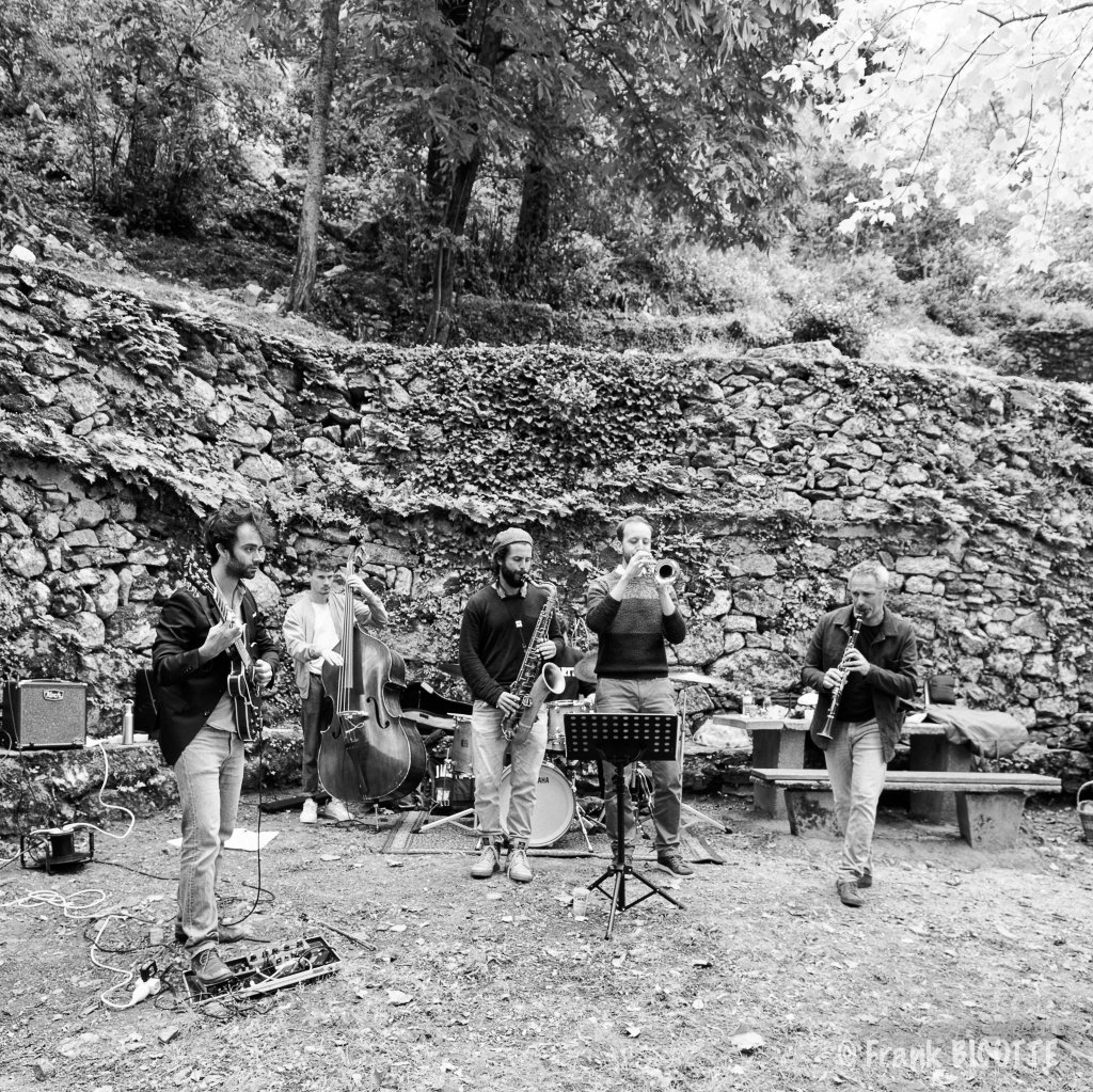 Les Ânes de Palinkof