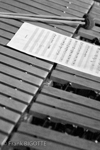 Percussions Profiles