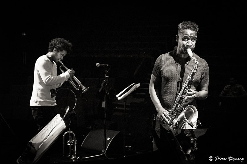 Carlos Sarduy ; Irving Acao